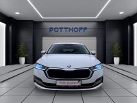 Skoda Octavia - Vorschau Bild 7