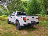 Ford F 150 Raptor Baja Truck 6,2 SVT Fox Offroad  - : Pickup, Truck