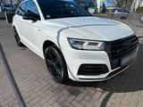 Audi SQ5 3.0 TFSI tiptronic quattro Tausch... - Audi quattro: 3.0