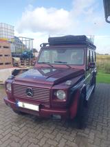 Mercedes-Benz G 400 CDI Station Wagon Lang - - Oldtimer: Pickup