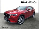 Mazda CX-60 2.5 PHEV 330 Hybrid AWD Exclusive-Line*Nav - Mazda CX-60 Tageszulassungen