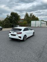 Kia cee'd / Ceed 1.6 T-GDI DCT GT GT - Kia cee'd / Ceed von privat