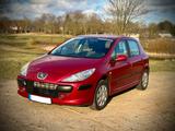Peugeot 307 Grand Filou 110 Grand Filou - Peugeot 307 Filou mit Benzin-Antrieb