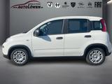Fiat Panda 1.0 Mild Hybrid Pandina Cross (EURO 6e) - Fiat Panda: Pandina