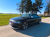 Audi RS5 Cabrio - Audi RS5: Cabrio