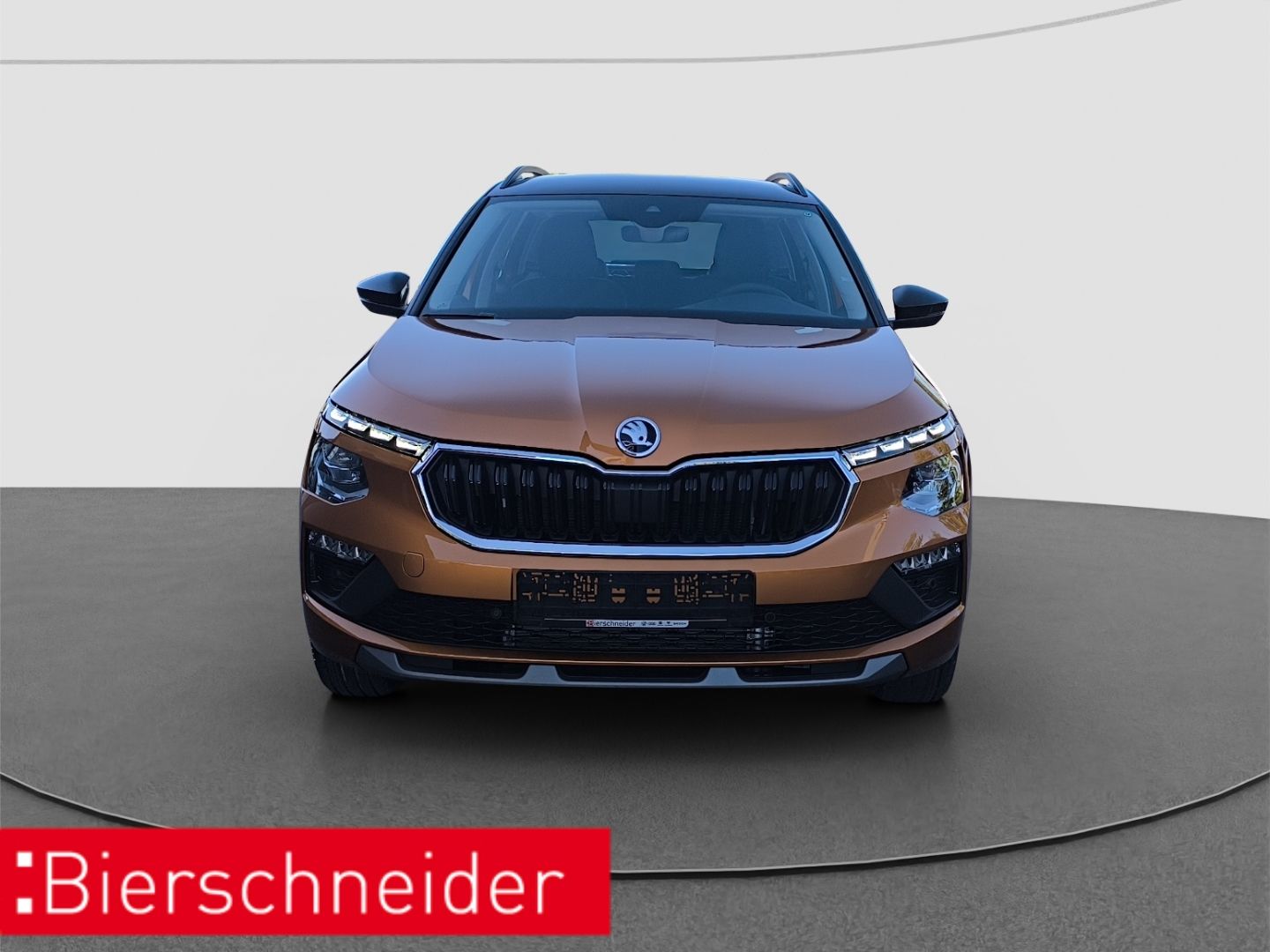 Skoda Kamiq - Bild 3