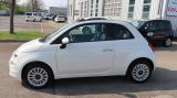 Fiat 500 Cabrio Lounge Hybrid 70 PS Weiss-Schwarz - Fiat 500: Weis