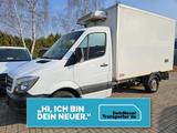 Mercedes-Benz Sprinter 313 CDI -32°C 230V THERMO KING 1.HAND - Offers