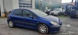 Peugeot 307 Grand Filou - Peugeot 307: Grand Filou