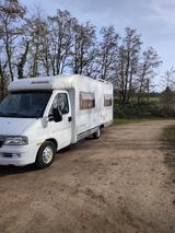 Dethleffs T6541/4 Plätze/AHK/autark/Klima/Topzust/wenig km - Dethleffs T4