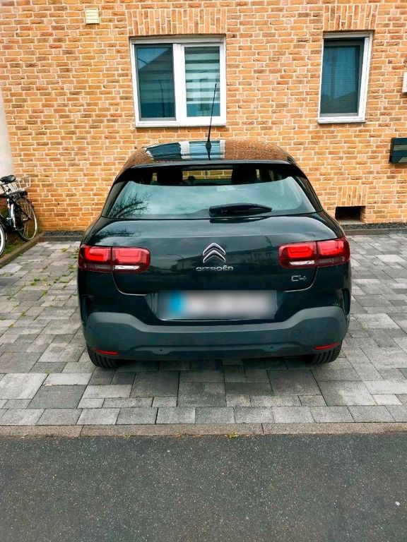 Image of Citroën C4 Cactus