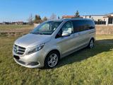 Mercedes-Benz Mercedes V-Klasse 250 Burmester Sound 7-Si... - Mercedes-Benz E 250: Van