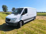 Mercedes-Benz Mercedes Sprinter 211cdi Top Zustand - Mercedes-Benz Sprinter aus 2006: Van