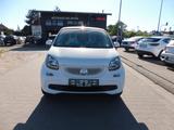 Smart ForFour forfour Basis 52 kW - Smart ForFour in Mainz