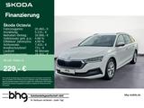 Skoda Octavia Combi 1.0 TSI e-TEC DSG First Edition - Skoda Gebrauchtwagen in Reutlingen