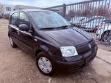 Fiat Panda - Fiat Panda Gebrauchtwagen in München