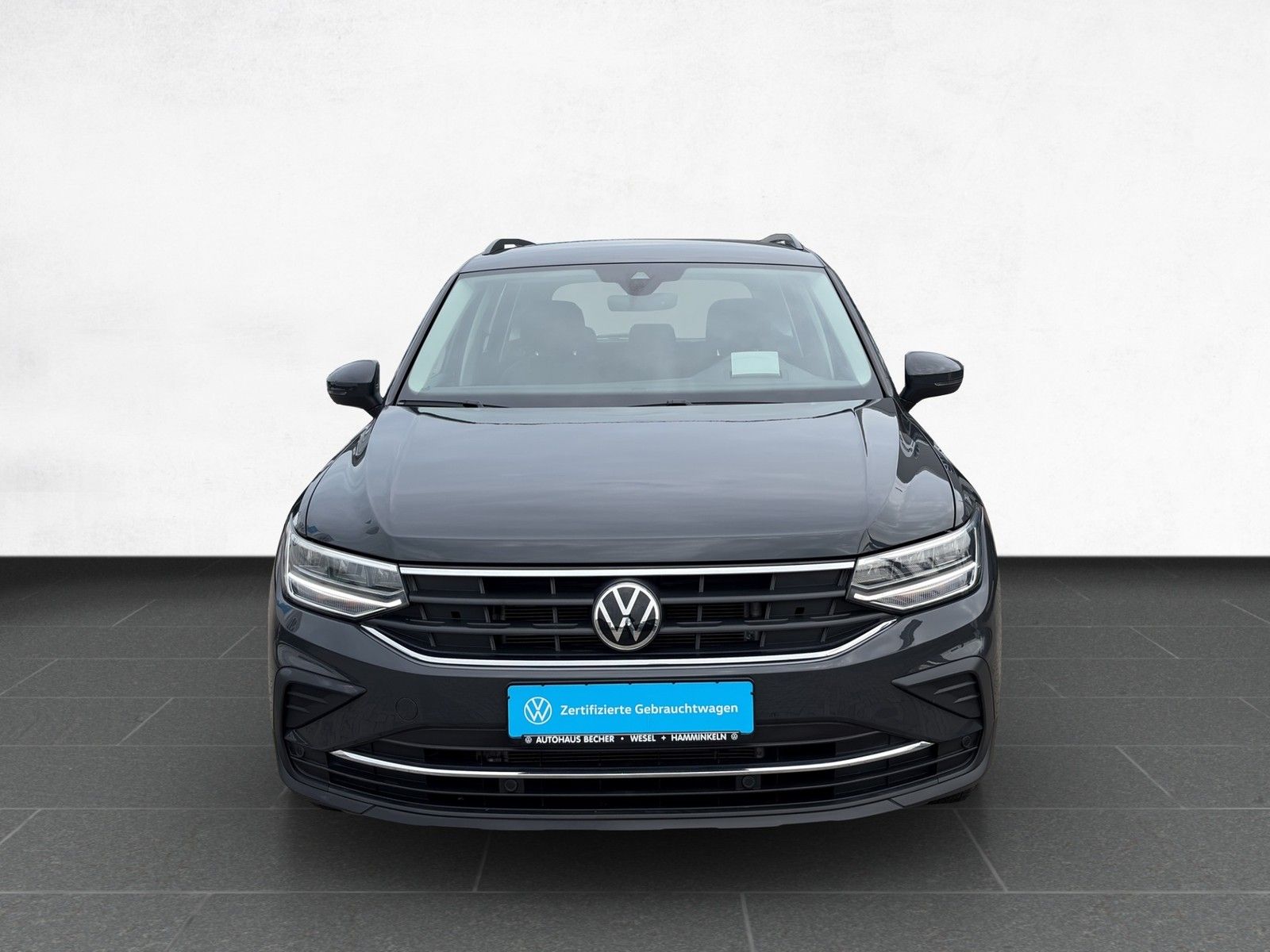 Volkswagen Tiguan Life 1.5 TSI DSG Navi Sitzhz LED HuD foto 3