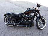 Harley-Davidson Sportster 1200X Forty Eight 48 - HARLEY-DAVIDSON 48 FORTY EIGHT