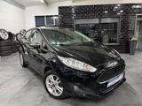 Ford Fiesta Celebration - Ford Fiesta: Celebration