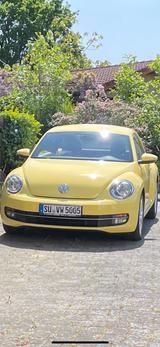 Volkswagen Beetle 1.2 TSI - - Volkswagen Beetle in Bonn