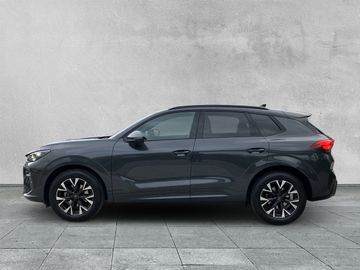 Cupra Terramar - 2