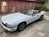 Jaguar XJS Cabrio 6Zyl Leder Youngtimer 1Jahr Oldtimer - gebrauchte Jaguar XJS aus dem Jahr 1996