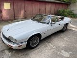 Jaguar XJS Cabrio 6Zyl Leder Youngtimer 1Jahr Oldtimer - Jaguar XJS von privat