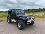 Jeep Wrangler 4.0 mit LPG und H -Zulassung... - gebrauchte Jeep Wrangler aus dem Jahr 1992