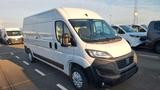 Fiat Ducato - Fiat Ducato Neuwagen