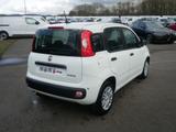 Fiat Pandina PANDA ICON HYBRID 1.0 GSE 65PS PDC RADIO - weiße Fiat New Panda