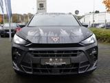 Cupra Terramar TSI 1.5 e-Hybrid 200 kW VZ PANO AHK FAP - Cupra Terramar mit Hybrid-Antrieb