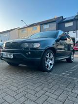 BMW X5 E53 V8 4,4i TÜV neu / Tausch E46 ... - BMW X5: E53