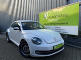 Volkswagen Beetle Design, LED, Xenon, PDC, Navi, BT - Volkswagen Beetle in Duisburg