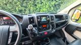 Fiat Ducato Kastenwagen gut erhalten - Fiat Ducato: Kastenwagen