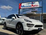 Porsche PORSCHE CAYENNE 3.0 D V6 245 CV PLATINUM EDITION - Porsche Cayenne mit Diesel-Antrieb: Kombi, Automatik