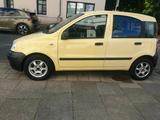Fiat panda - Fiat Panda Gebrauchtwagen in Bremen