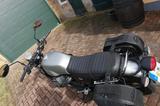 Moto Guzzi V7III Rough - Offers