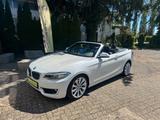 BMW 220i Cabrio*Sport-Line*Leder*DAb*Navi*Car-Play* - BMW 220: D