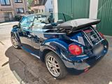 Volkswagen Vw Beetle Cabrio 1,4 16V - Volkswagen Beetle aus 2003