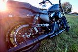 Harley-Davidson Sportster 48 / XL1200 / Forty-Eight