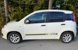Fiat Panda gepflegt mit AHK - weiße Fiat New Panda