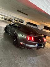 Ford Mustang Roush Paket Blickfang Facelif... - Ford Mustang: Roush