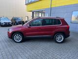 Volkswagen Tiguan Life BMT/SHZ/PANORAMA/KLIMA/ALU/ - VW Tiguan Life Gebrauchtwagen