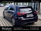 Mercedes-Benz A 250 AMG Line Business/LED/Totwinkel/PremiumNAV - Mercedes-Benz A 250 Gebrauchtwagen