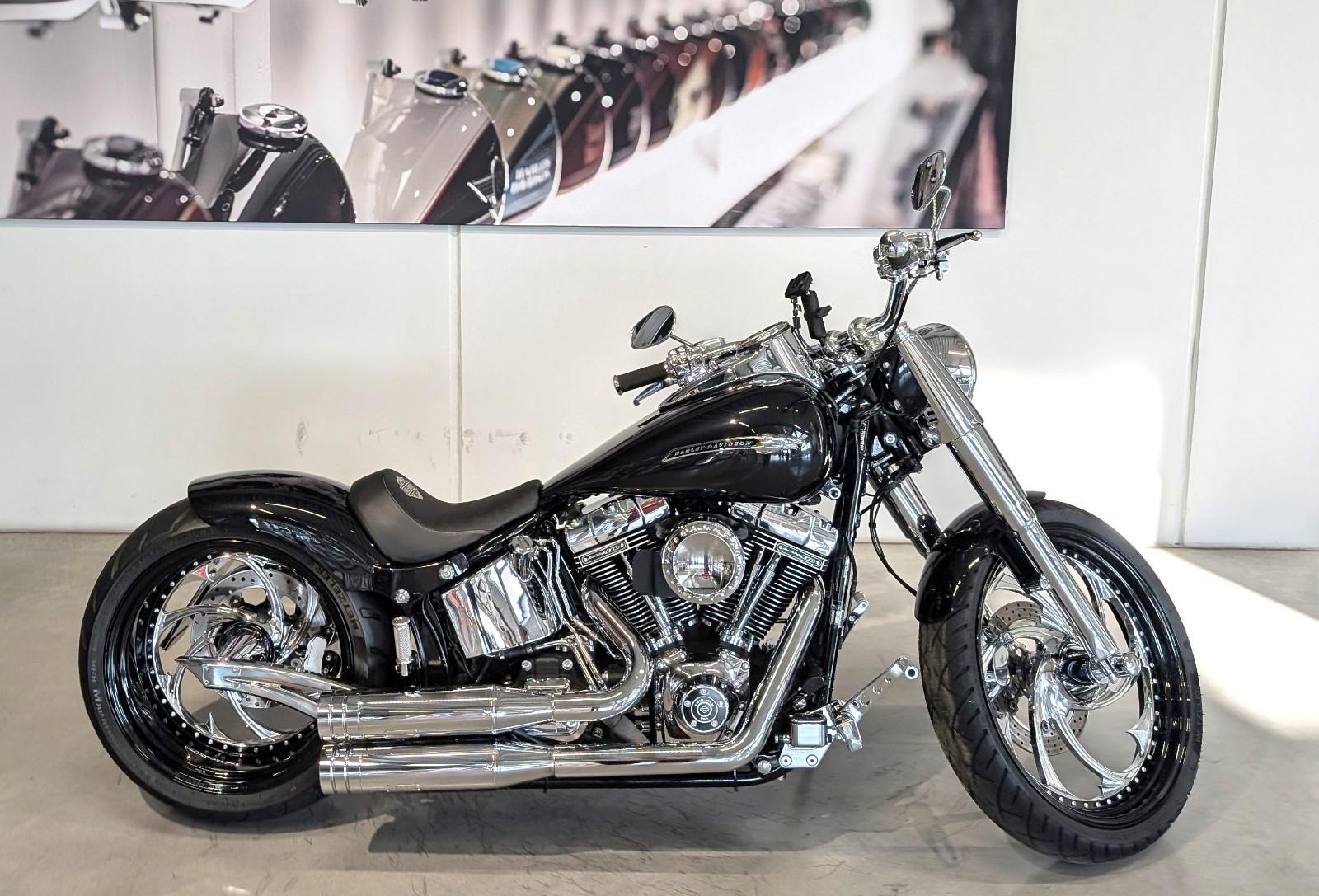 Harley-Davidson FLSS - Softail Slim S  - Custom Thunderbike