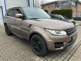 Land Rover Range Rover Sport S 3.0 tdV6/LEDER/KAMERA/1.HAND - Land Rover: Tdv6