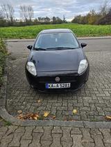 Fiat Punto 1.2 8V Active Active - gebrauchte Fiat Punto aus dem Jahr 2008
