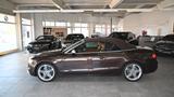 Audi A5 Cabriolet 3.0 TDI quattro *TOP*AHK*LEDER - Audi A5: 3.0
