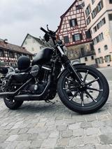 Harley-Davidson Sportster IRON 883 | XL883N - HARLEY-DAVIDSON SPORTSTER XL 883 N IRON