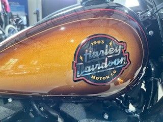 Fahrzeugabbildung Harley-Davidson FXLRST Low Rider ST Enthusiast  Neufahrzeug